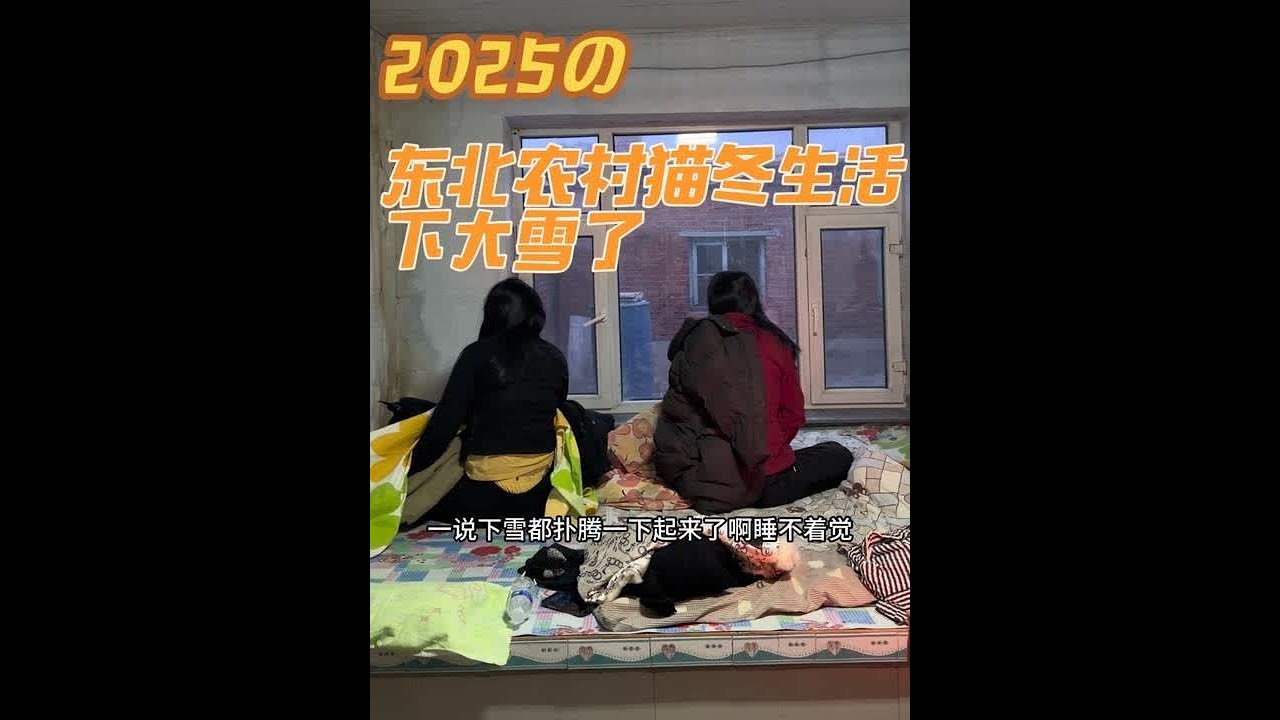 #我的乡村生活 #猫冬模式开启 #新农人计划 #东北农村日常生活视频 #我的乡村生活
