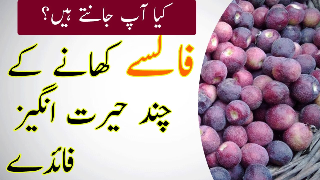 فالسے کھانے کے چند حیرت انگیز فائدے | Amazing Benefits of Eating False | Hunza Tv