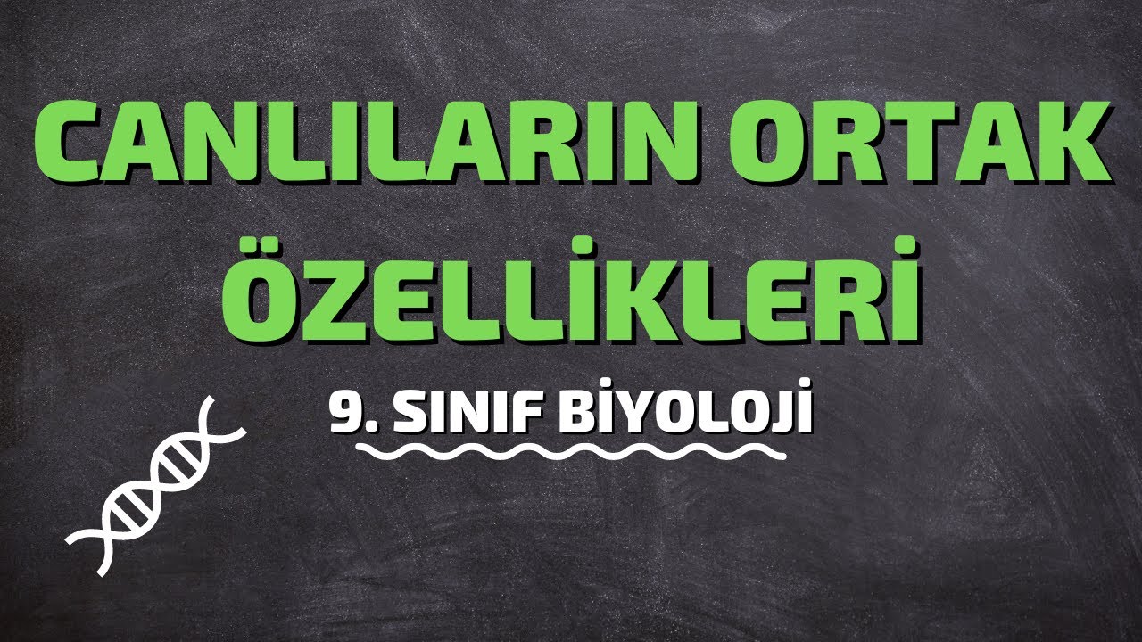 9.Sınıf Biyoloji | Canlıların Ortak Özellikleri