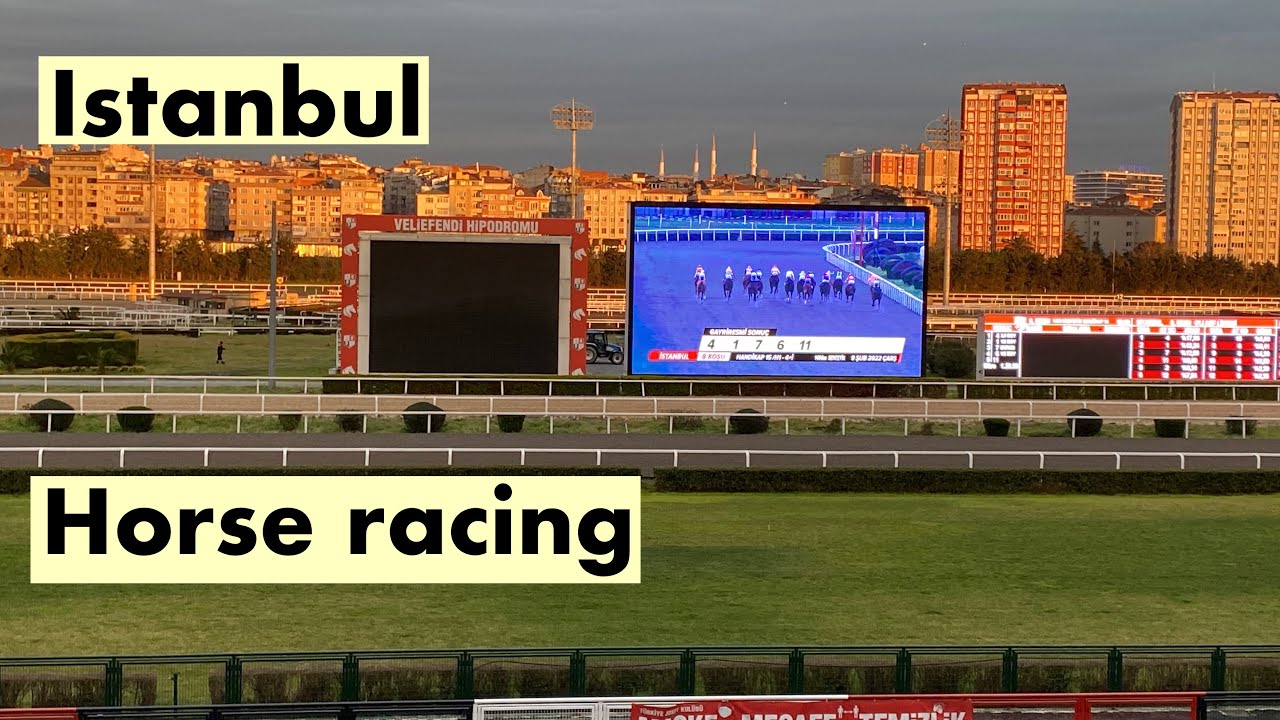 Istanbul | Horse racing | Veliefendi Hipodromu