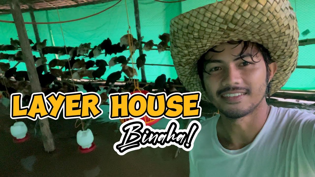 LAYER HOUSE NG EGGCHANTED FARM TILA NAGING FISH POND DAHIL SA BAGYONG EGAY!!