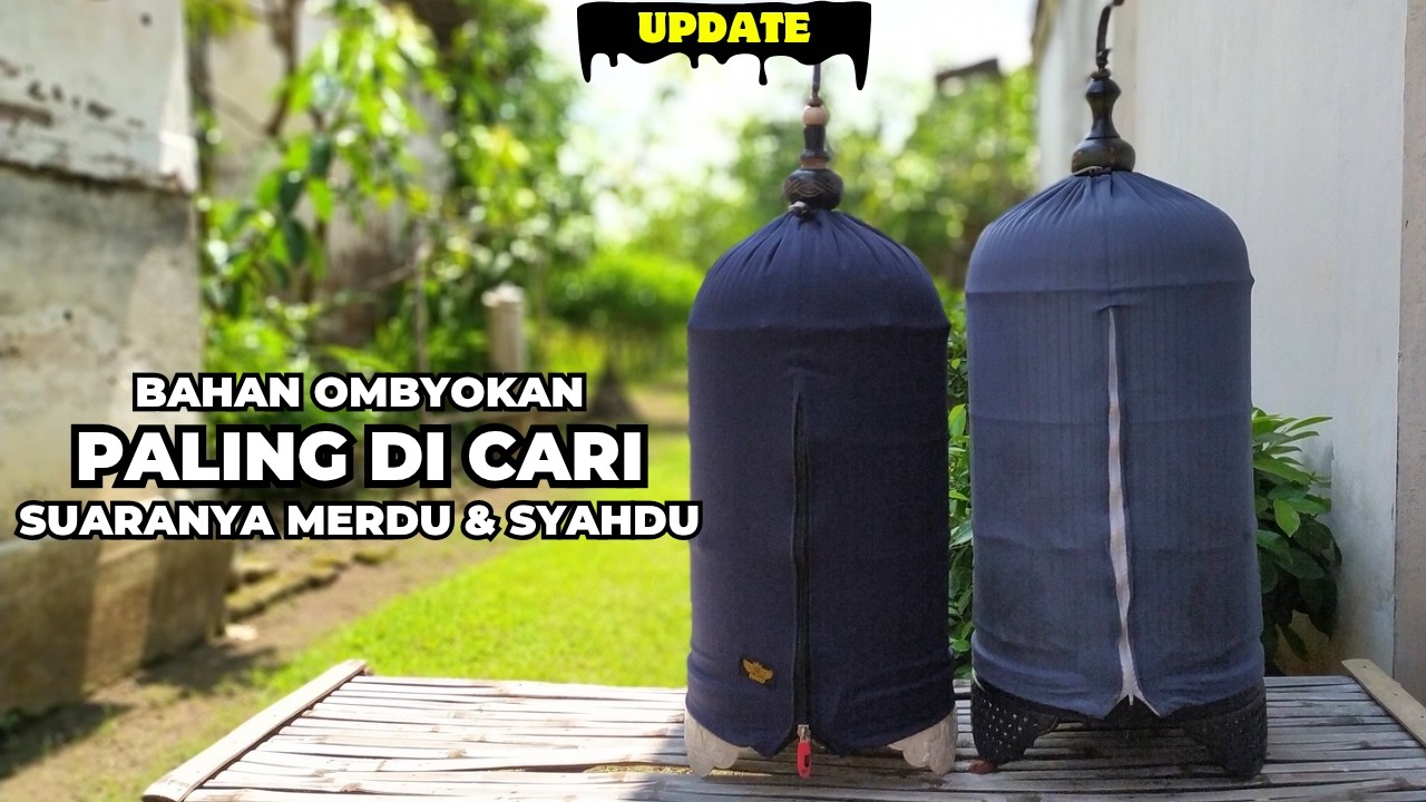 UPDATE BURUNG BAHAN❗PALING DI MINATI & LAKU KERAS DI OMBYOKAN❗