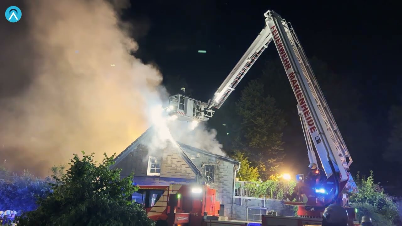 Brandstiftung? Bewohner und Hunde aus den Flammen gerettet