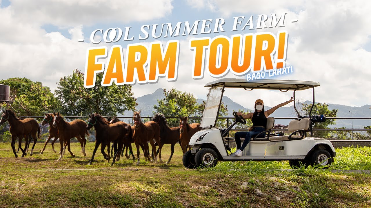 HINABOL AKO NG KABAYO SA COOL SUMMER FARM