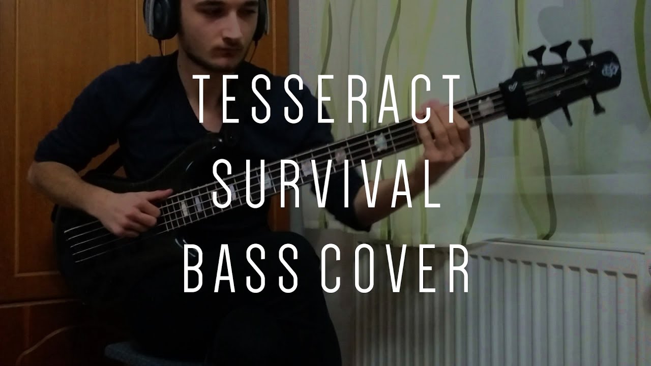 TesseracT - Survival -  Bass Cover - Spector Rebop 5 DLX