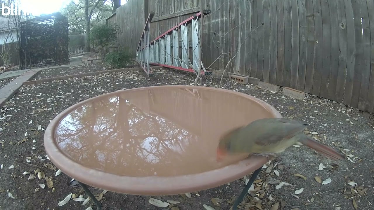 Wanna watch me take little sips?