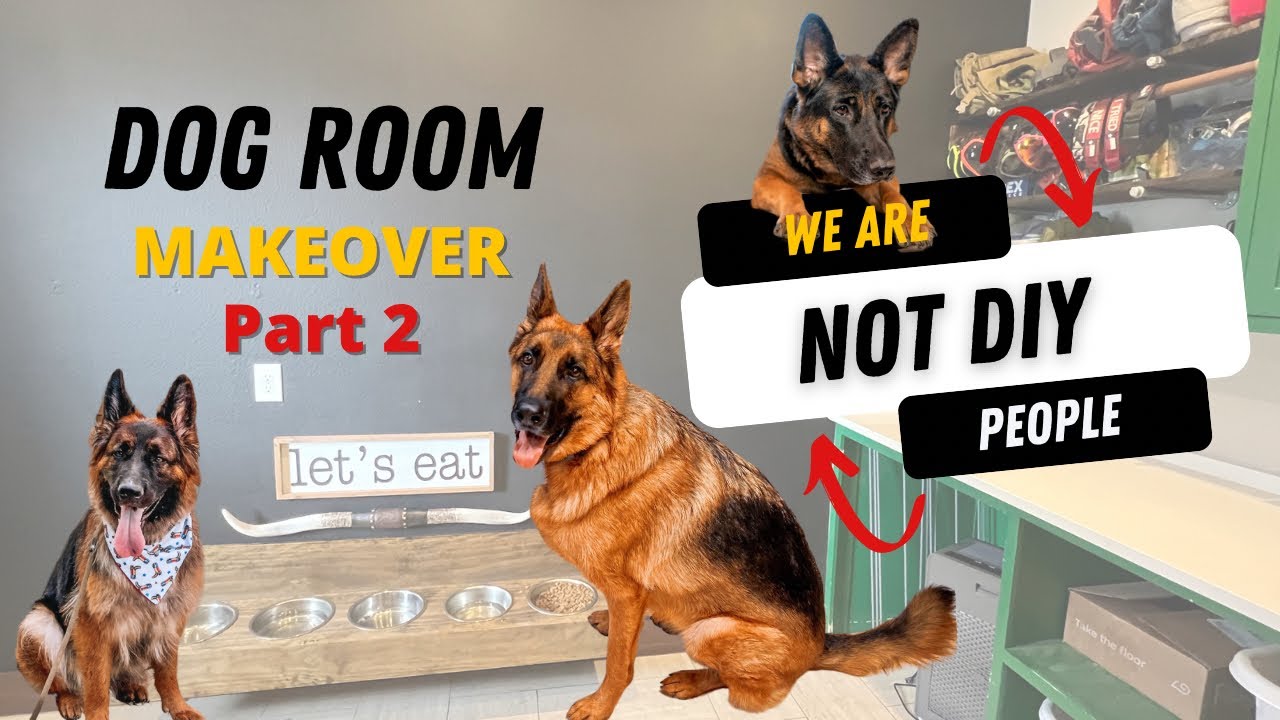 Dog Room | Food Area | Gear Wall