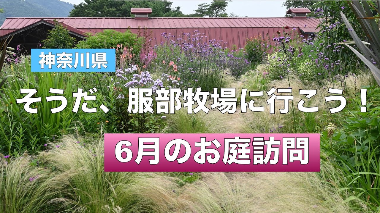 【6月のお庭訪問】いま一番のトレンド、服部牧場へ