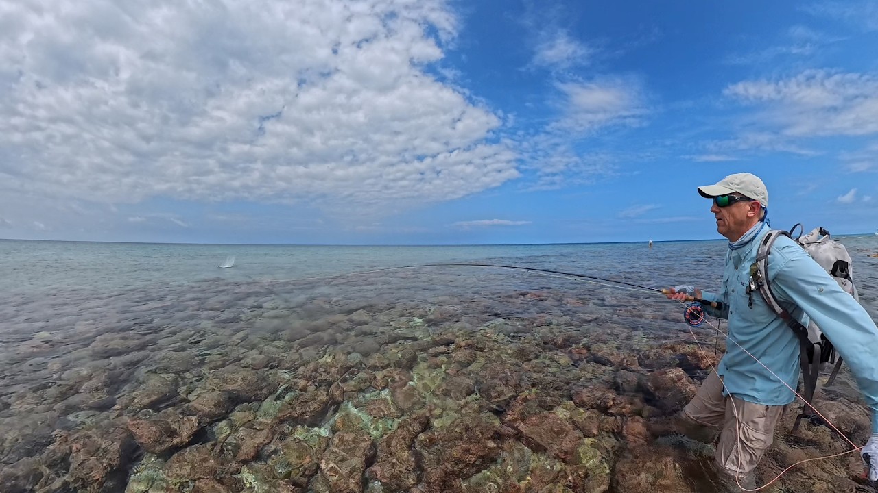 FLY FISHING MALDIVES 🎣 AVVENTURA di pesca epica di GT Bluefin Rainbow Runner cernie e altri pesci