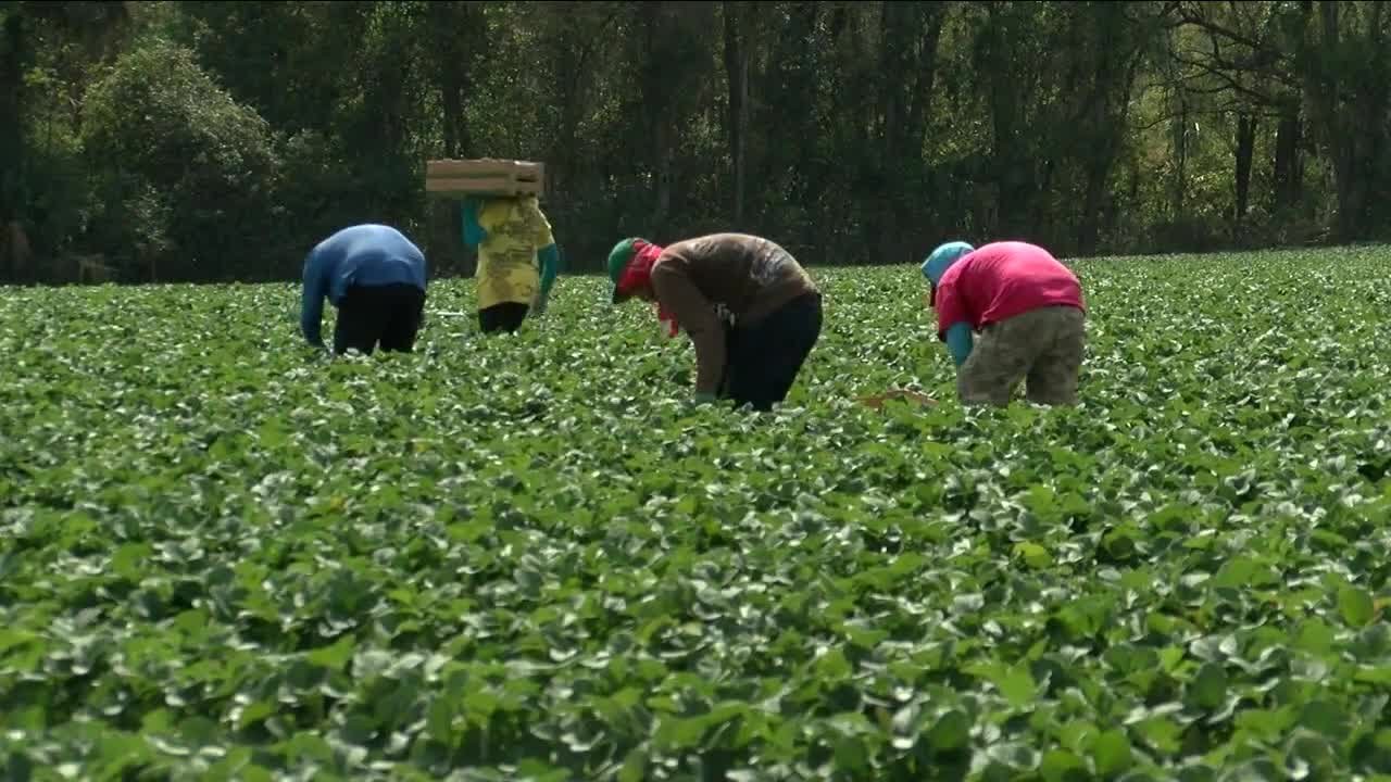 Impacts on Florida for deportation operations, President Trump's immigration mandate