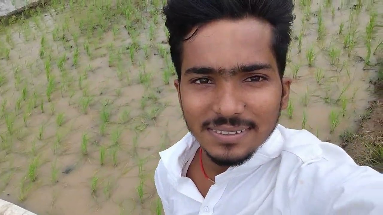 धान के खेती 💥💥(