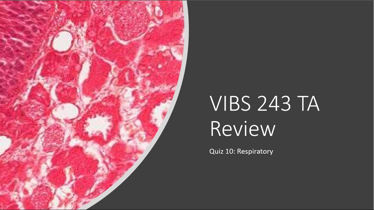 Histology Basics TA Review: Respiratory