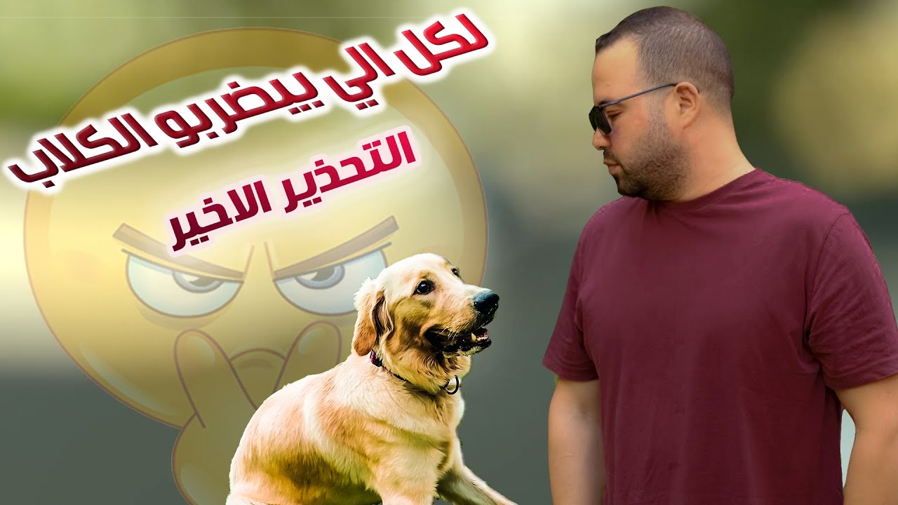 شوفو التدريب بالضرب وصلنا لفين😱 ـ وده هيكون أخر تحذير😡