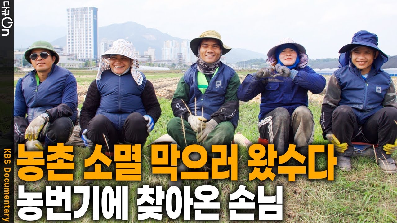 트랙터까지 섭렵! 🚜 경력직 근로자 덕분에 농작물 면적이 오히려 늘었다?.? | KBS 20251026 방송