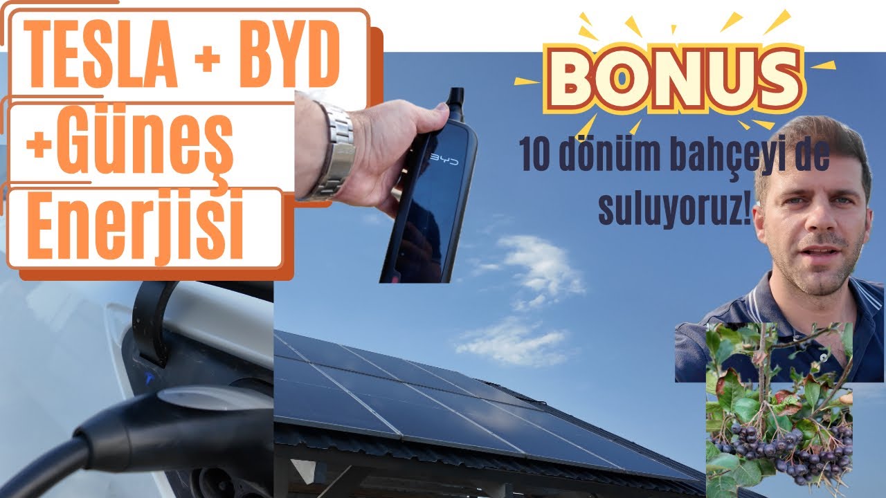 Güneş Enerjisi ile Aronya Bahçesinde Elektrikli Araç Şarjı (BYD & Tesla)