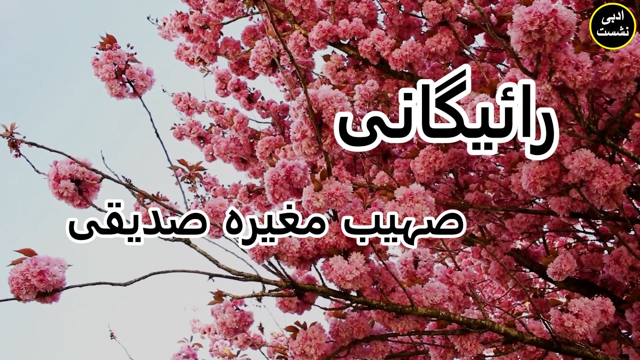 Nazm Raigaani ﺭﺍﺋﯿﮕﺎﻧﯽ by Sohaib Mugheera Siddiqui