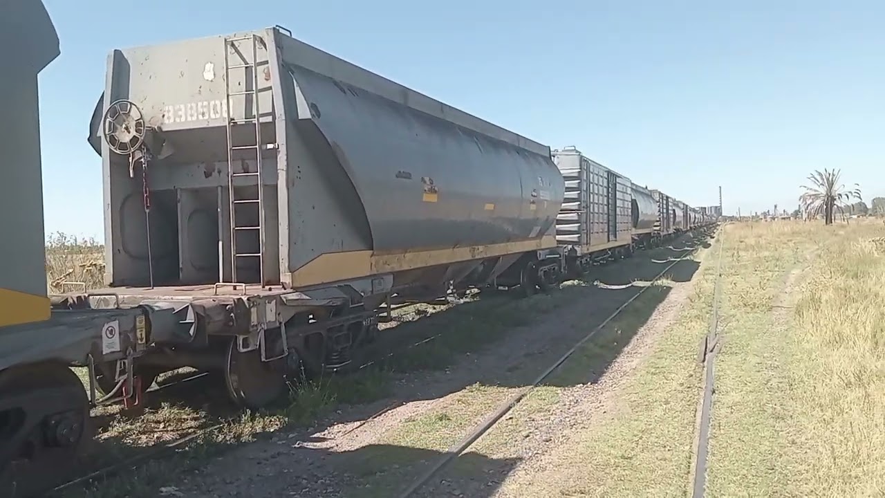 Trenes  argentinos cargas