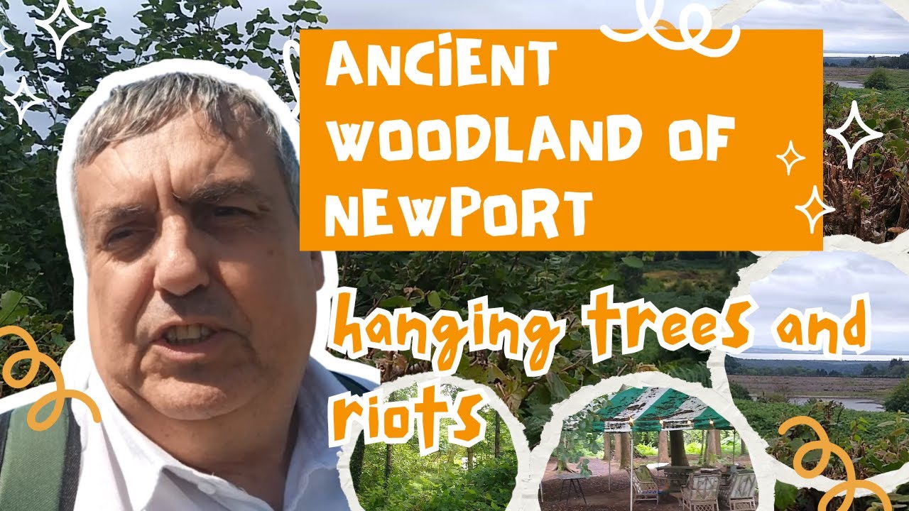 Ancient forest of Newport, hanging trees and riots