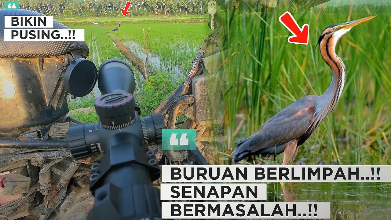 HUNTING‼️TARGET BERAGAM..