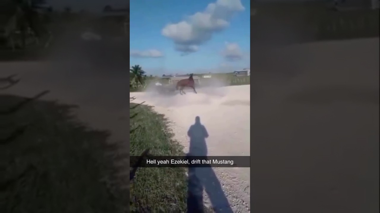 они дикие на диком западе 🤠