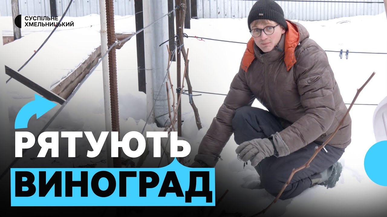 Як врятувати виноград і молоді дерева від сильних морозів: поради садівника з Хмельницького