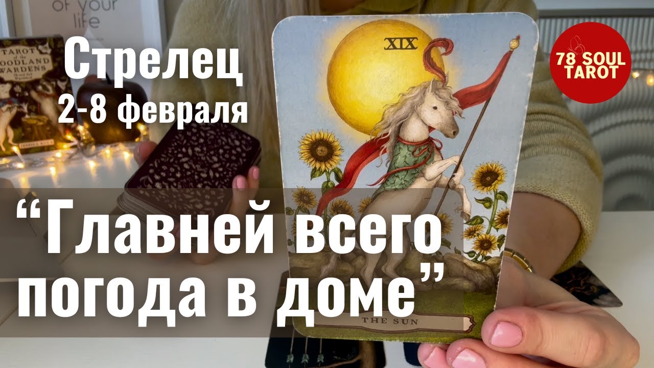 СТРЕЛЕЦ : 