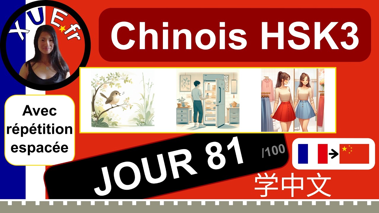 Cours de chinois HSK3 🇫🇷›🇨🇳 JOUR 81, 鸟，冰箱，裙子, avec répétition espacée.