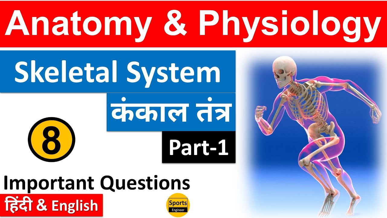 Skeletal System (कंकाल तंत्र)-1 ||Anatomy & Physiology|| {Part-8} Physical Education MCQs