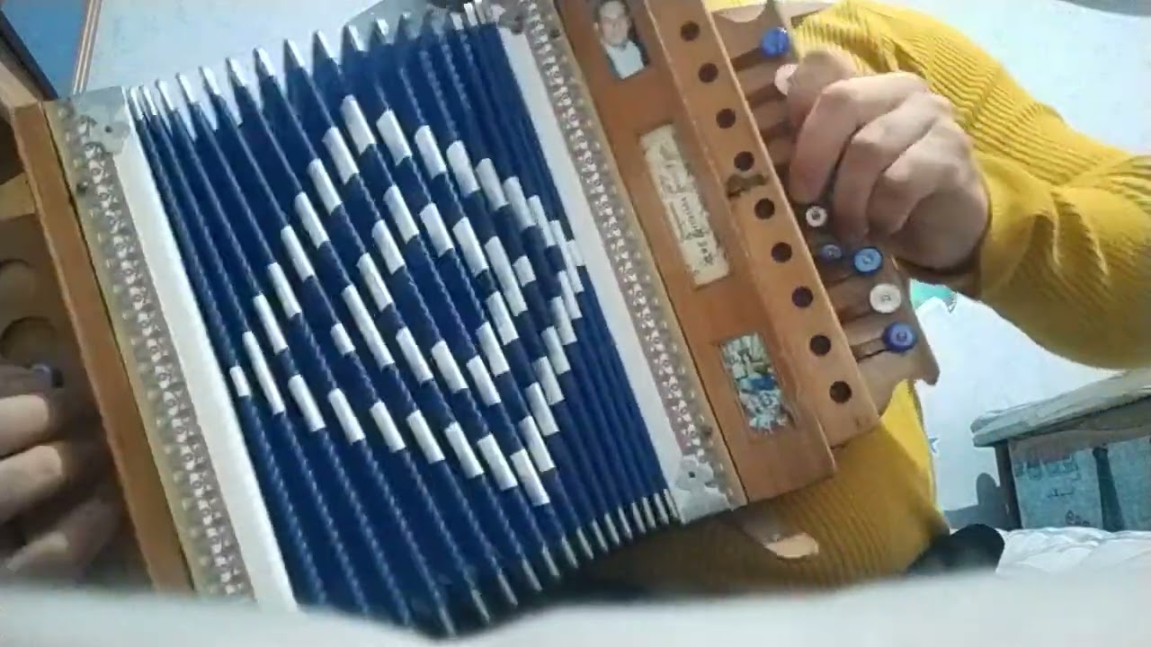 Tarantella Vibrata solo organetto (lenta )