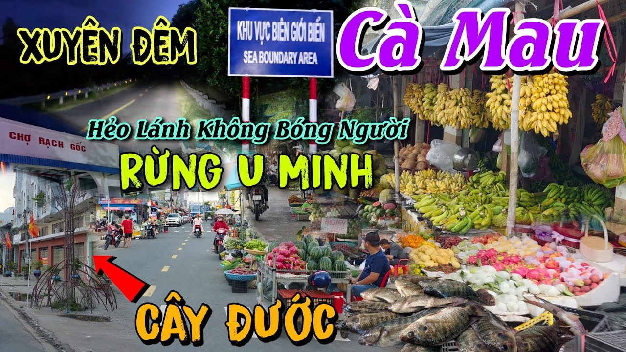 XUYÊN RỪNG U MINH TRONG ĐÊM KHÁM PHÁ VÙNG QUÊ HẺO LÁNH TỪ CHỢ CÁI NƯỚC VỀ NĂM CĂN RẠCH GỐC ĐẤT MŨI