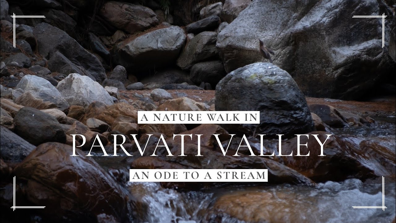 A Nature Walk in Parvati Valley | An Ode to a Stream #travel #himachalpradesh #travelfilm 