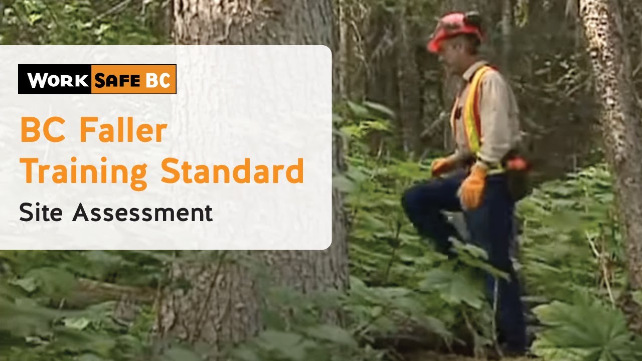 BC Faller Training Standard - Site Assessment (5 of 17)