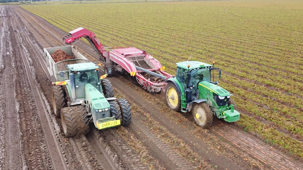 Carrot Harvest | John Deere 6195R & Grimme GT 170