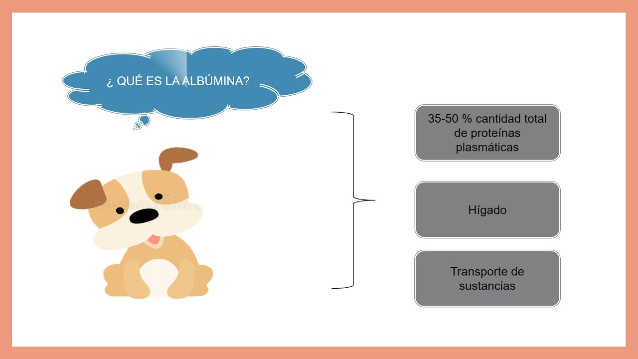 ALB&Uacute;MINA