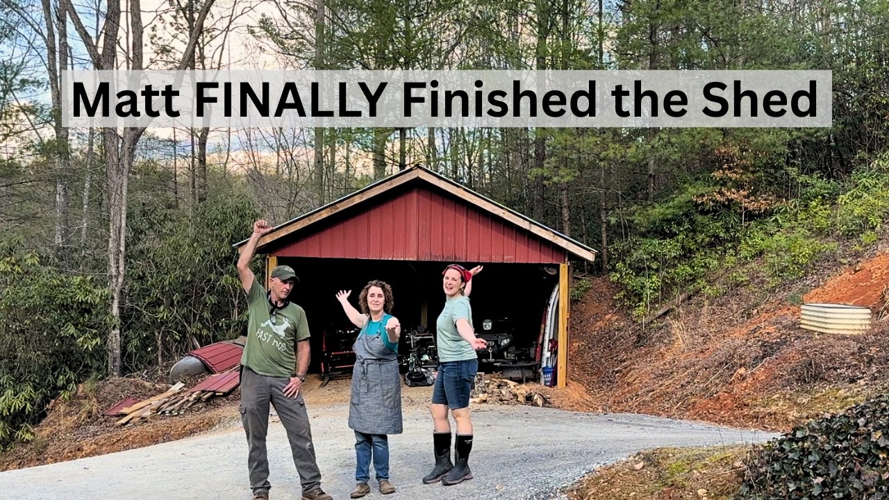 It Took Us 30 Years But We Now Have A Shed & We LOVE It! 😁