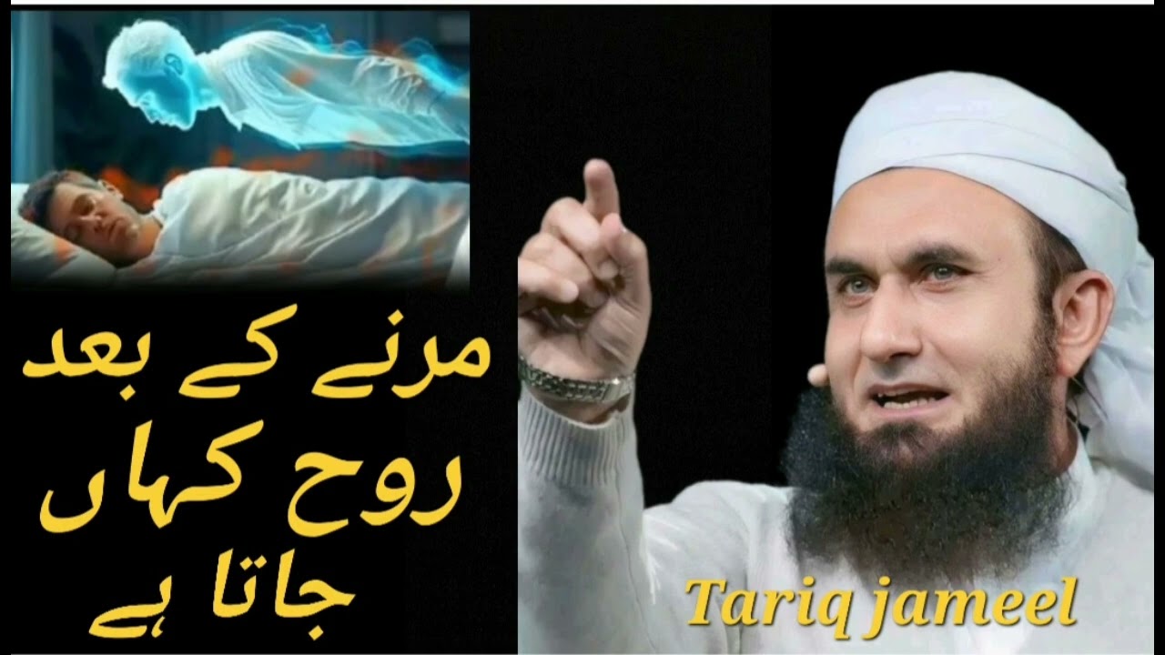 Mulana tariq jameel ka bayan #مرنے کے بعد روح کہاں جاتا ہے #long video #viral video #foryou paj #