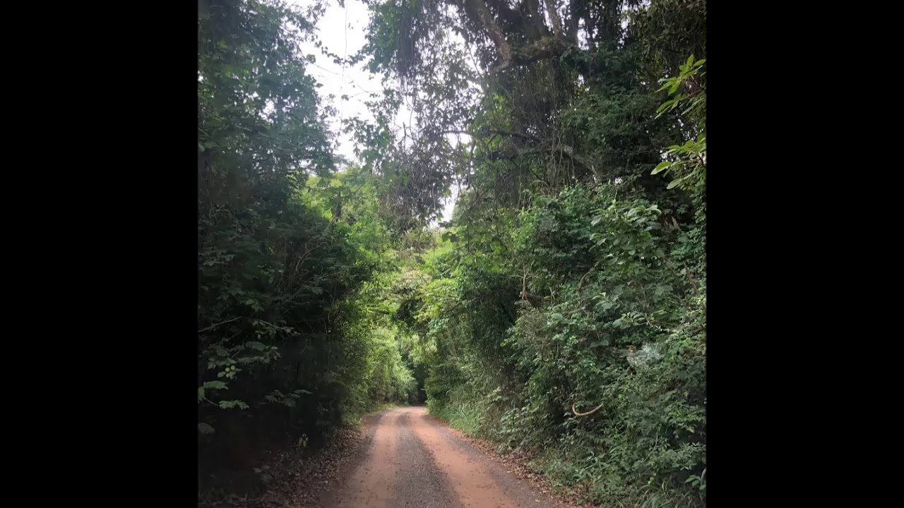 S&eacute;rgio Murilo - Recupera&ccedil;&atilde;o &eacute; amadurecimento