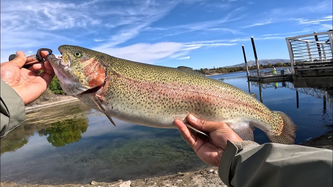 Big Trout On The New Super Ultralight Rod