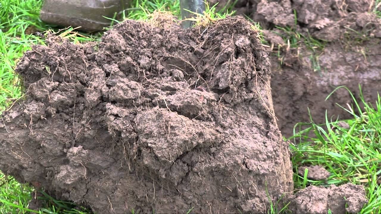 Nutrient Management Planning with Rob Kynaston