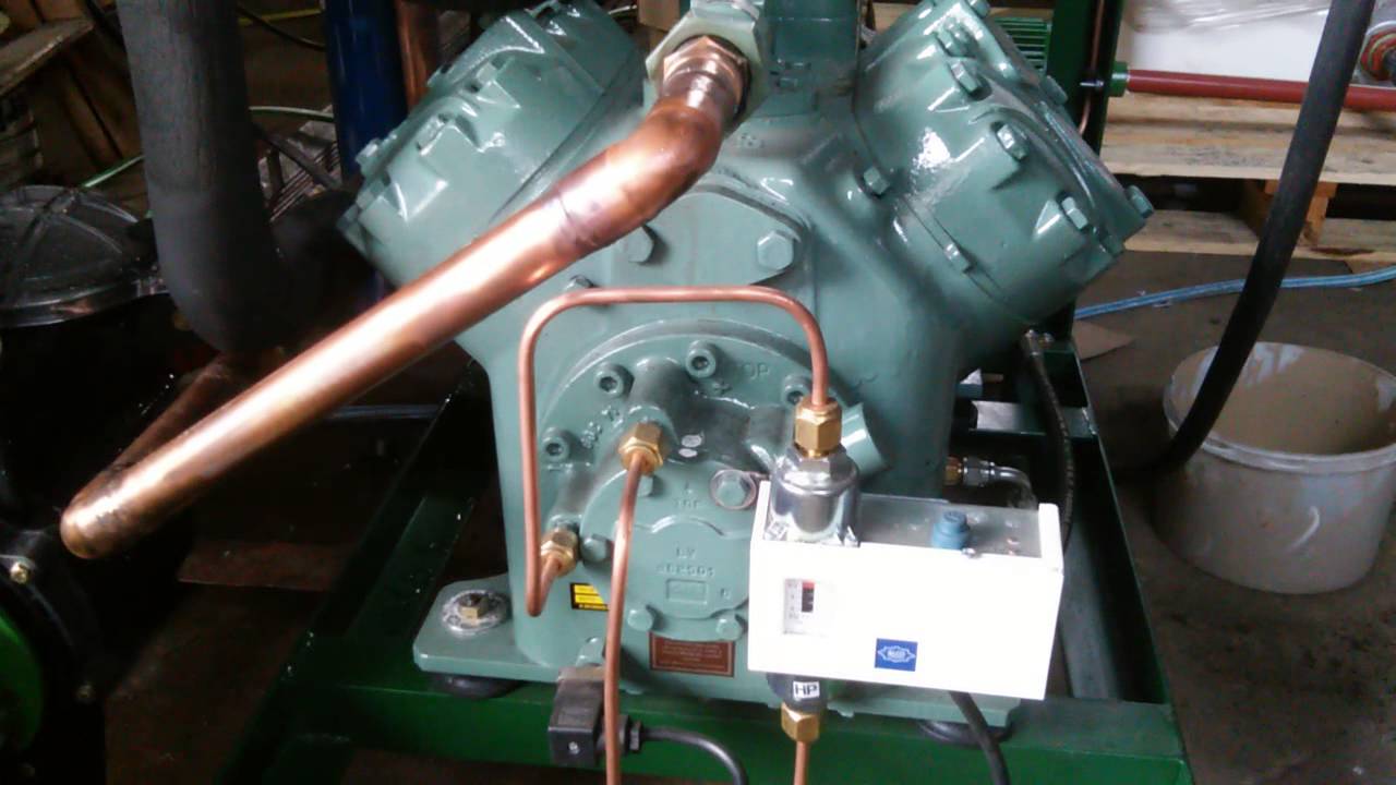 Fabricadora hielo rolito Hector P 2