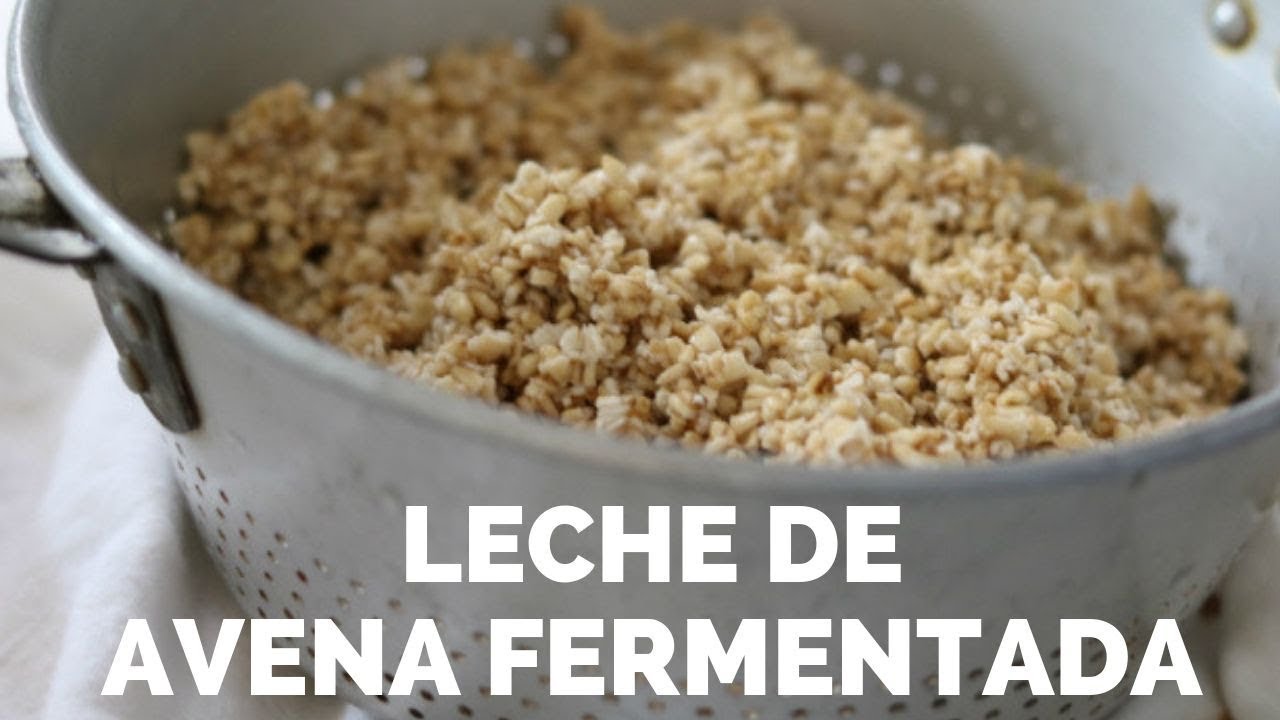 Leche de AVENA FERMENTADA | una guía completa