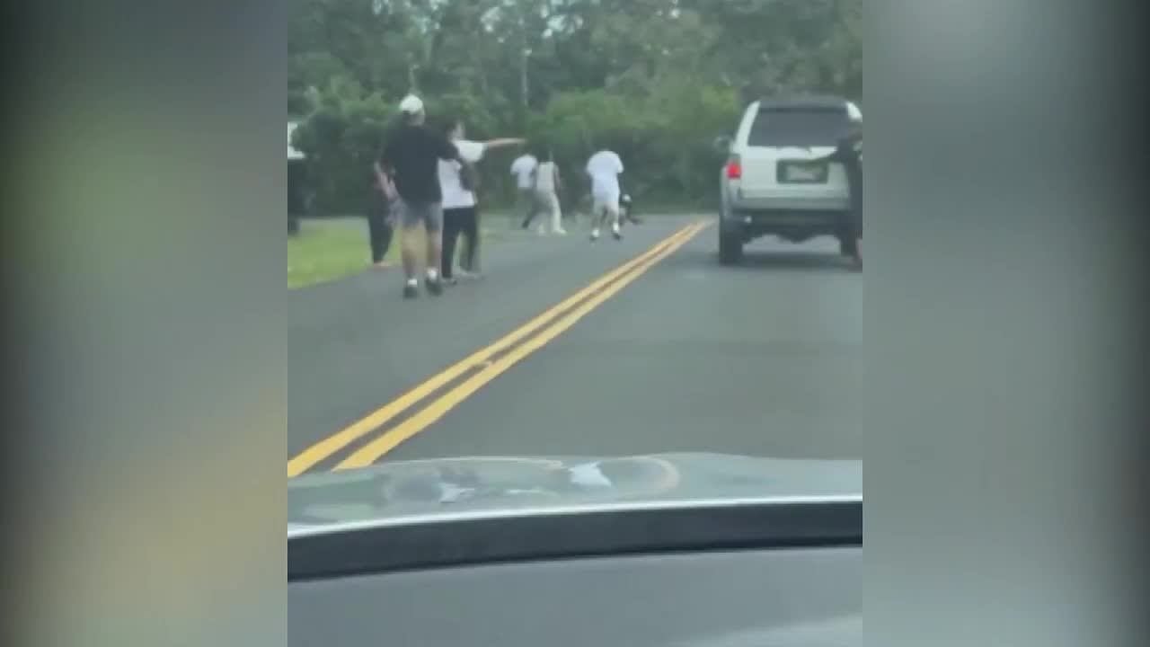 Large street fight shuts down Hilo road