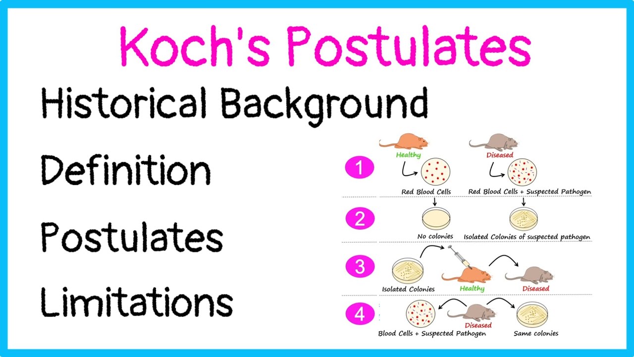 Koch's Postulates | Historical Background | Definition | Postulates | Limitations |