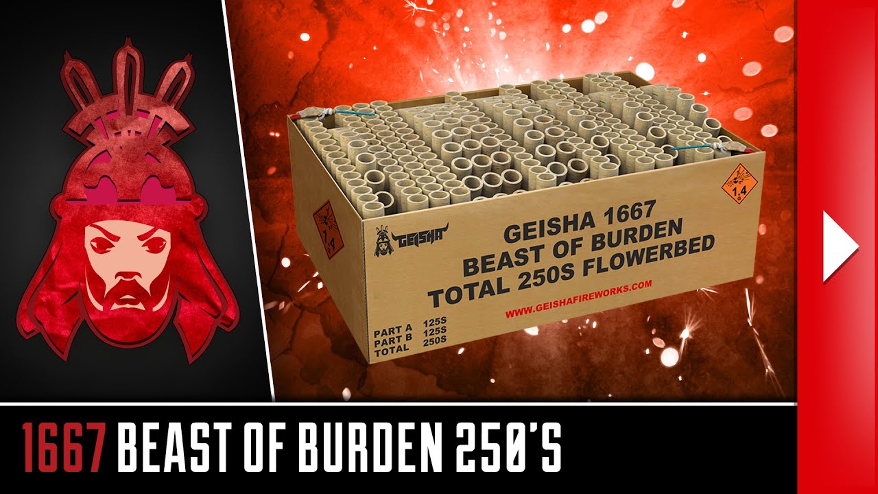 1667 Beast of Burden Total 250's - Geisha - Vuurwerkmania - (OFFICIAL VIDEO)