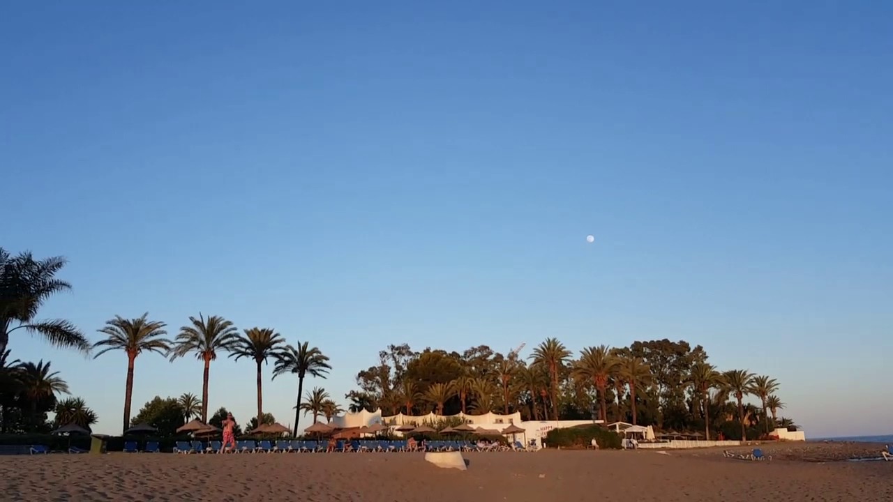 4 Line Power Kite