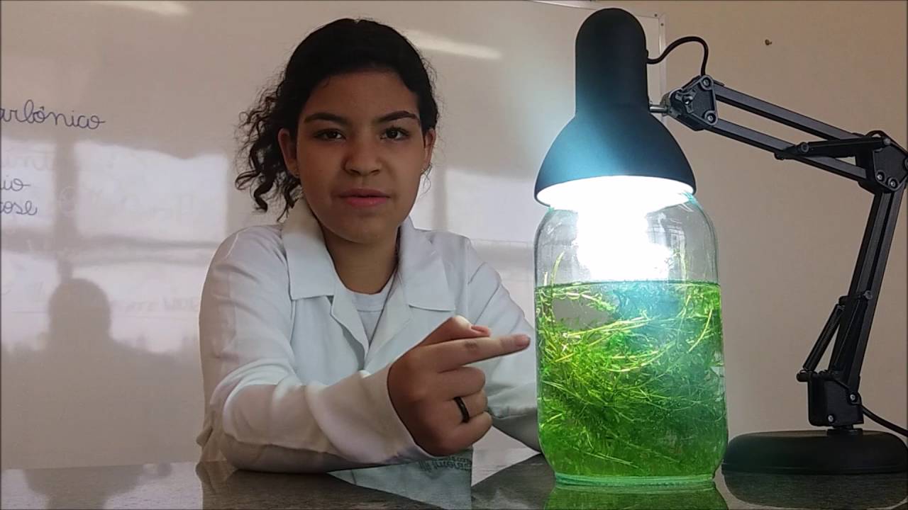Experimento da Fotossíntese - Biologia - 9º ano.