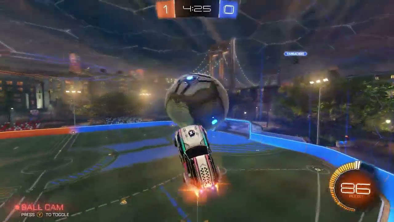 Ceiling Pogo