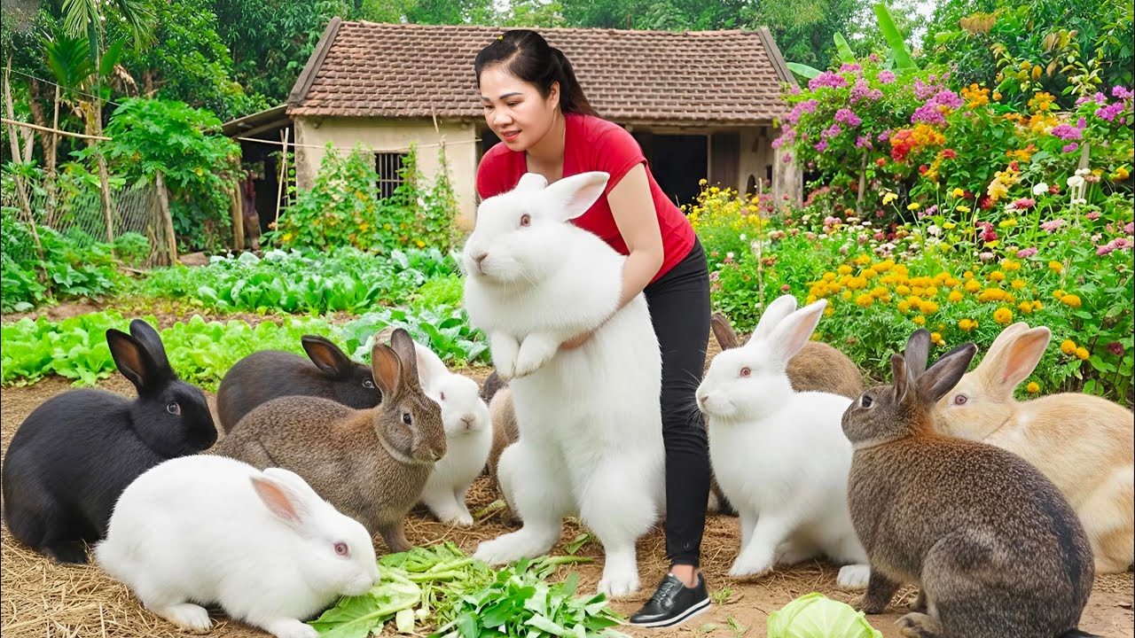 Harvesting Giant Jade Rabbit and Mountain Guinea Pig & Go to Market Sell | Cooking, Bushcraft