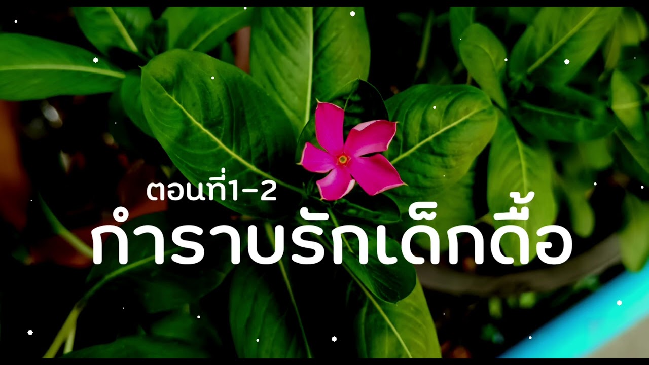 นิยายยูริ หญิงรักหญิง กำราบรักเด็กดื้อ ตอนที่1-2 | สวิชญา