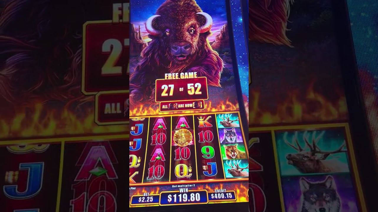 Follow up Buffalo PowerPay second major hit 59 games but this time at $2.25/spin #slots #winner 